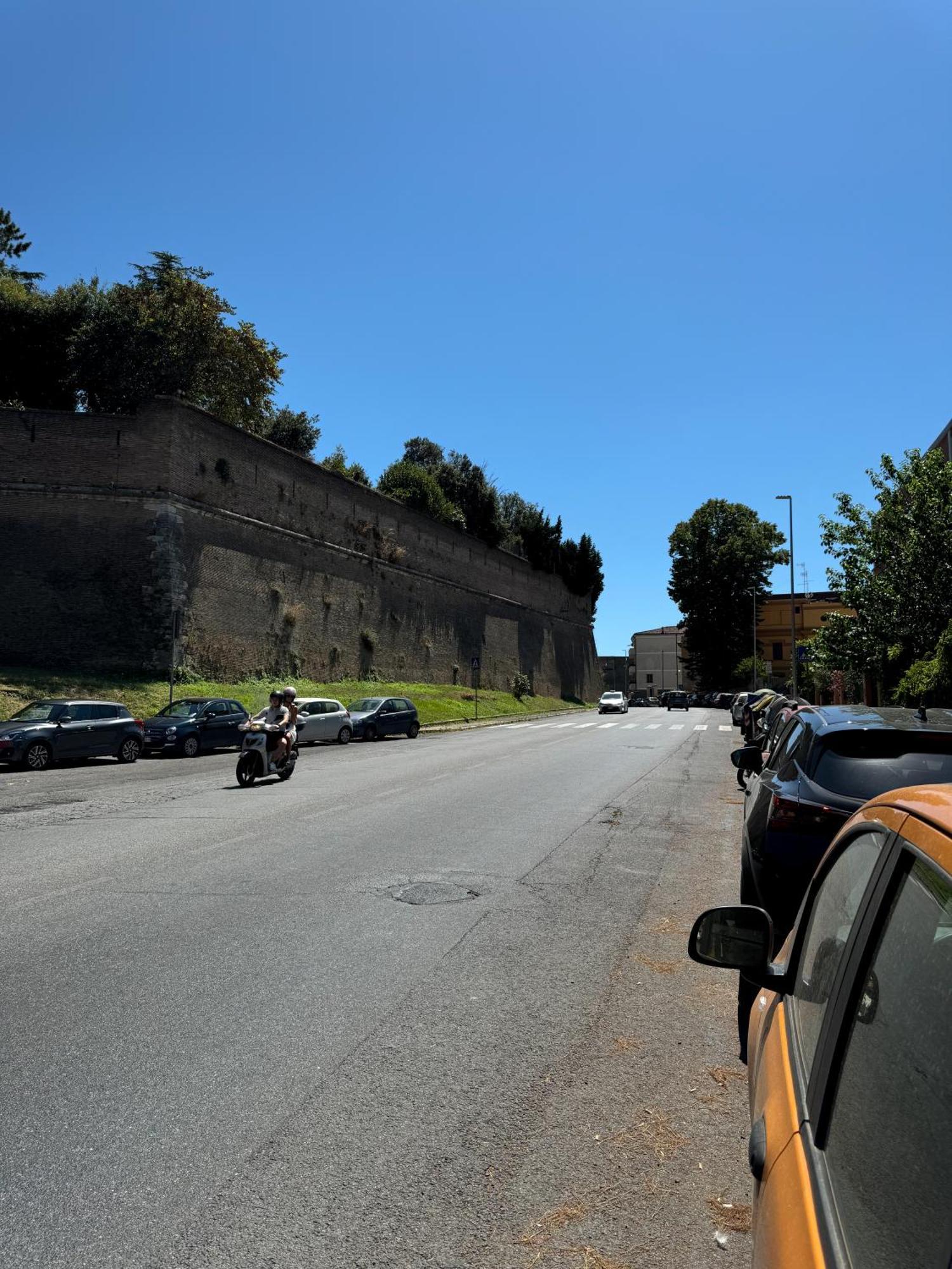 New - Vatican Viola Apartment Rom